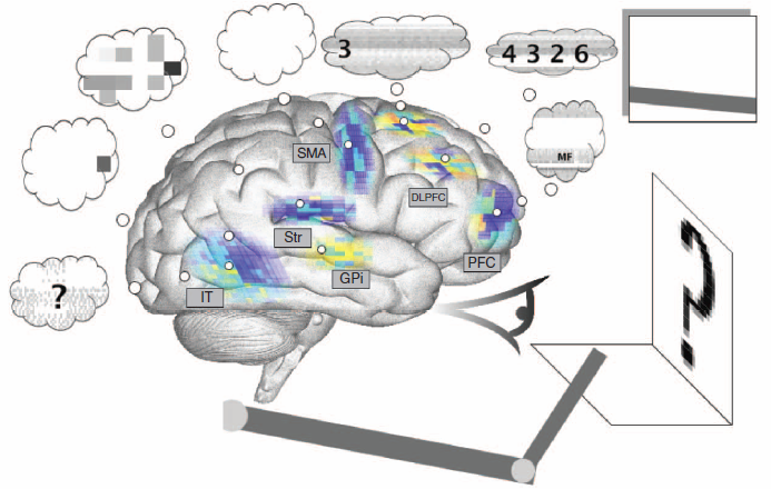 Serial working memory task