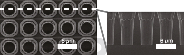 Silica photonic crystal