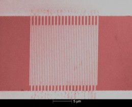 Single-Photon Single Photon