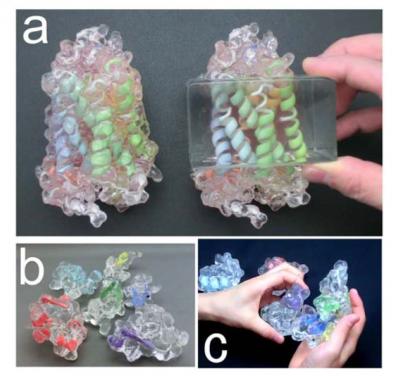 Soft and transparent protein models