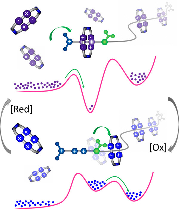 Stoddart-molecular-pump