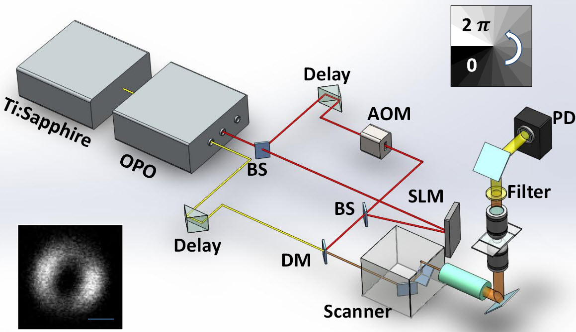 Super-resolution optical microscopy