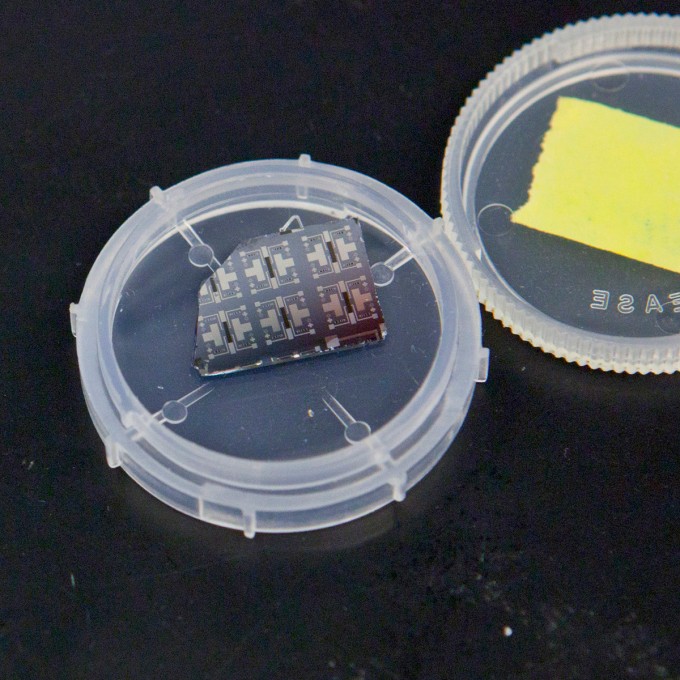 Synaptic-transistor-web