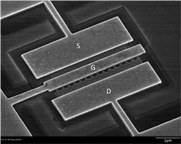 TFET Transistors
