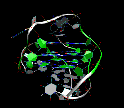 Telomer-structure