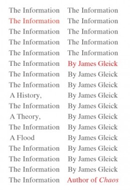 The Information book cover