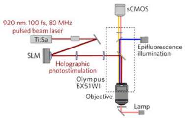 Two-photon computer-generated holography