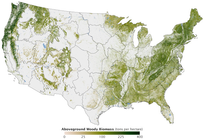 U.S. forest biomass