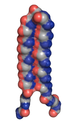 UW-structure1