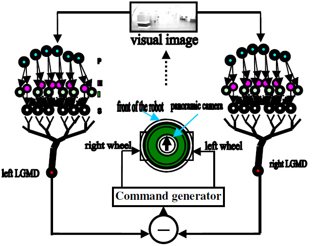 VSMC system