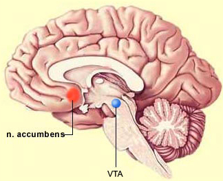 VTA