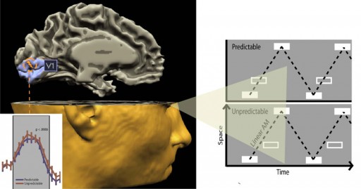 Predictable vs. Unpredictable Images