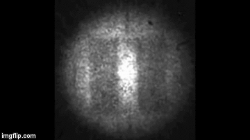 Xiang-Zhang-cloak-gif