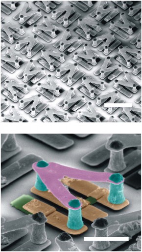 Zhang-metamolecule-2