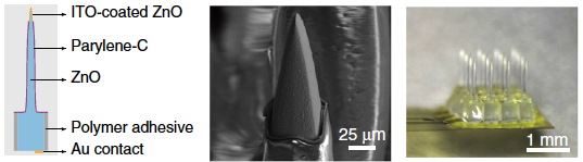 Zinc MOA device