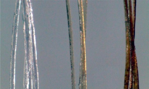 acs_gold_nanoparticle_hairs