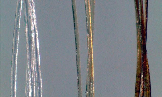 acs_gold_nanoparticle_hairs acs_gold_nanoparticle_hairs