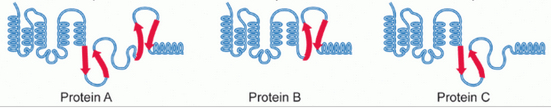 alternative splicing