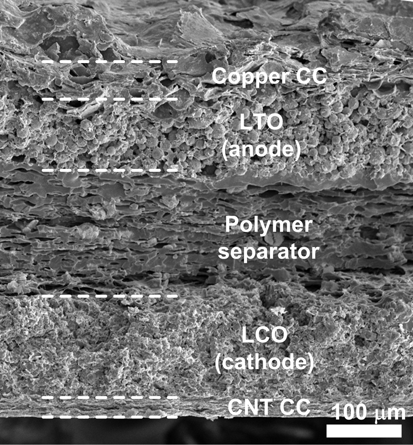 battery-SEM-highres battery-SEM-highres