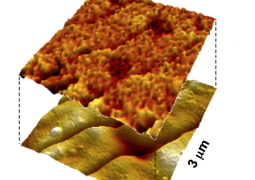 berkeley_AFM berkeley_AFM
