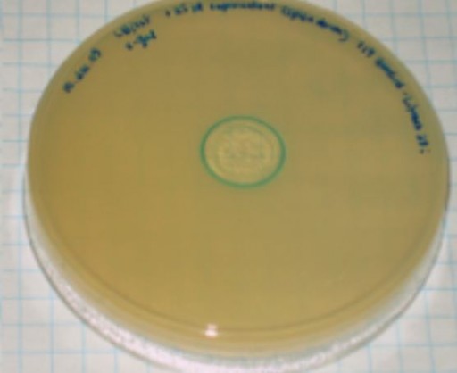 bio_internet_stanford