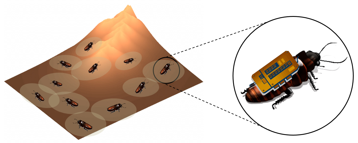 biobots_swarm biobots_swarm