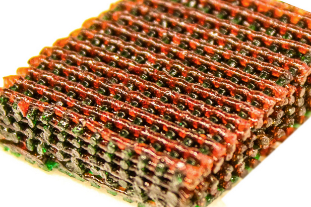 biogel structure