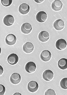 biomarker
