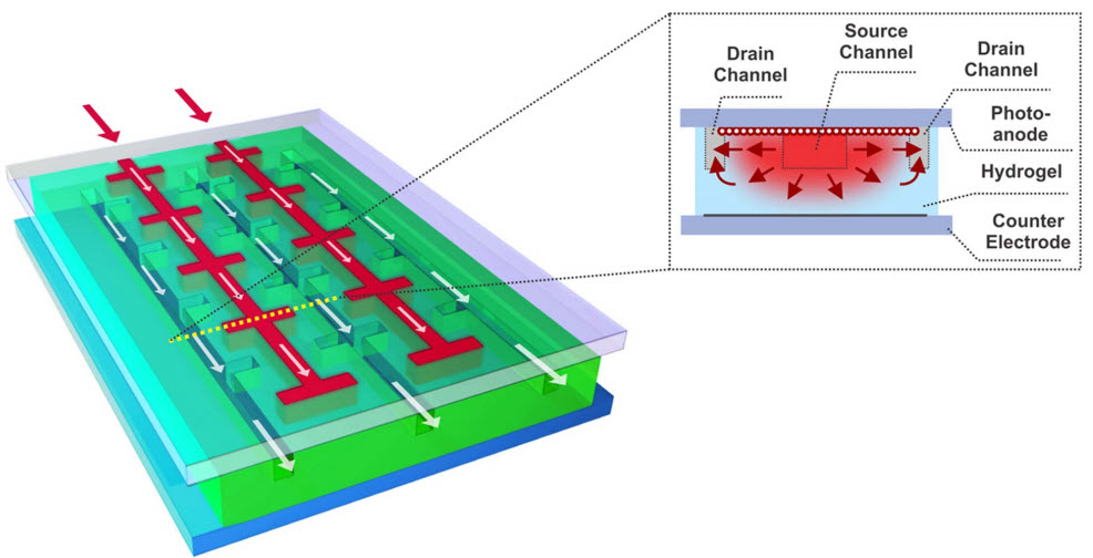biomimetic photovoltaic device