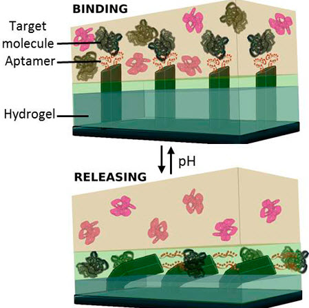 biomolecules from an ingoing solution mixture