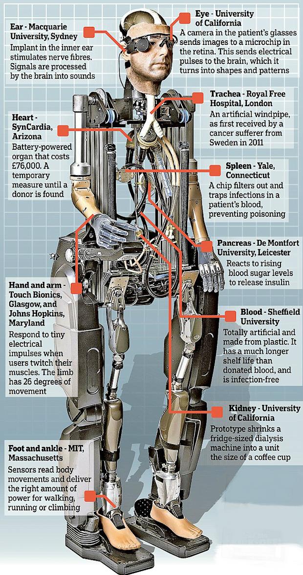 bionic man