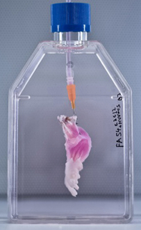 bioreactor