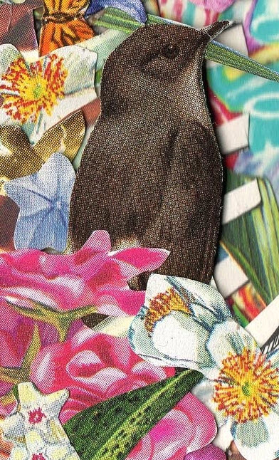 bird&flowers