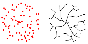 branching neurons