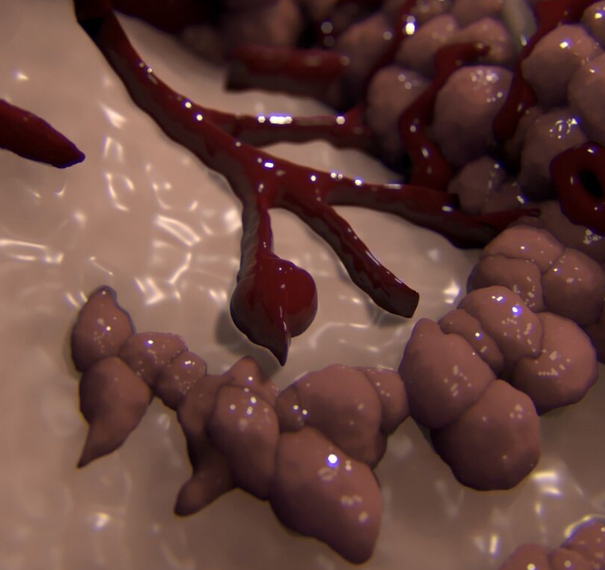 cancer cell enters blood vessel