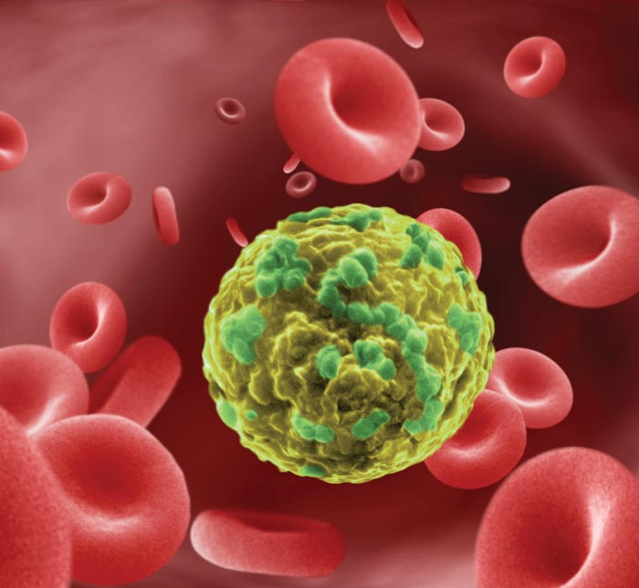cancer cell mobile