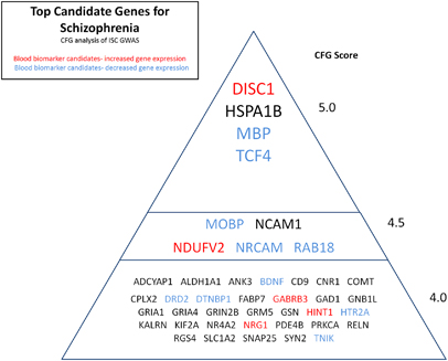 candidate_genes_schizofrenia