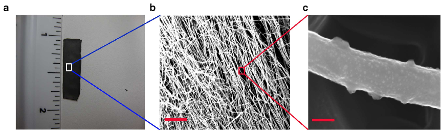carbon nanofibers