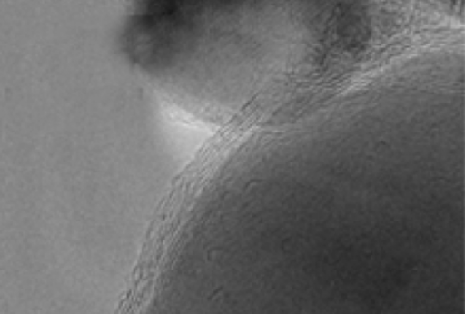 Carbon-encapsulated nanomagnet