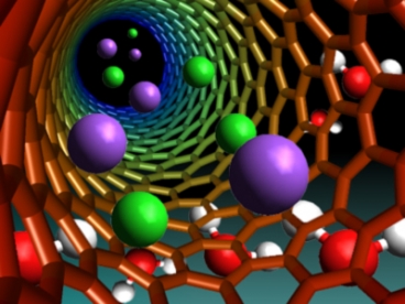 carbonnanotubes