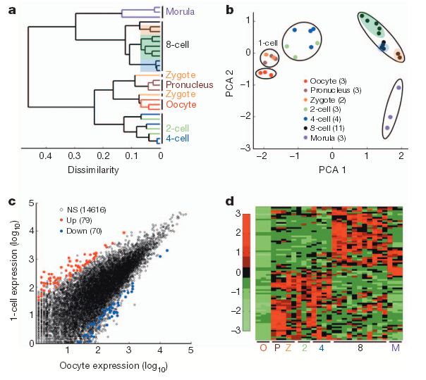 cell_transcriptome_analysis cell_transcriptome_analysis