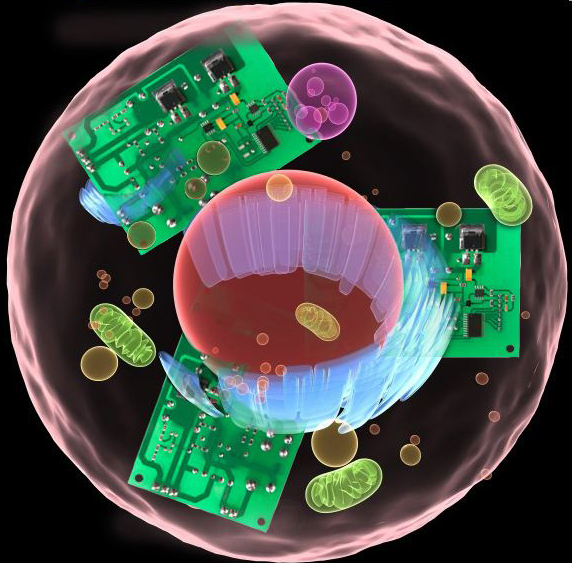 Mimicking cells with transistors