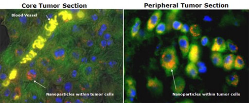 cerulean_science_nanoparticles