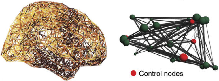 cognitive control