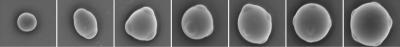 colloidal atoms