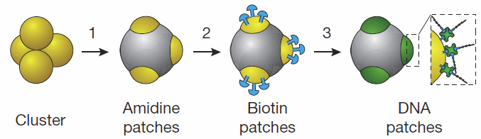 colloidal particles