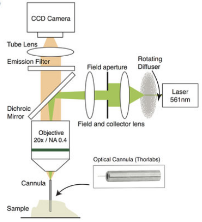 computational-cannula microscopy process