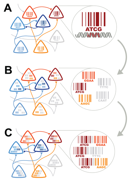 converting_connectivity_sequencing_problem