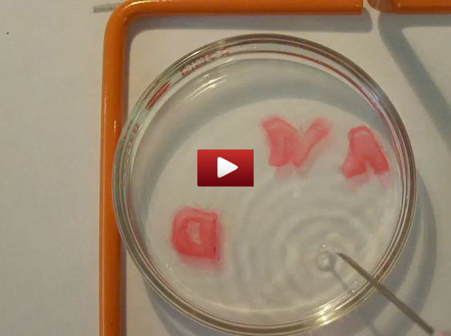 cornell meta_hydrogen_video