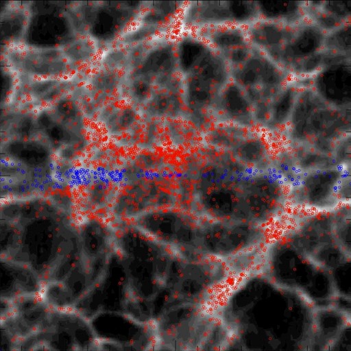 cosmic_web